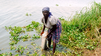 Lake Victoria Environmental Management Project